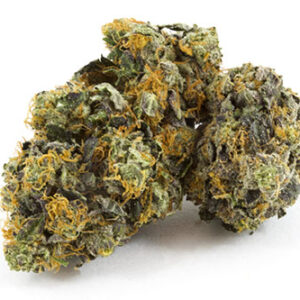 Black Domina Indica