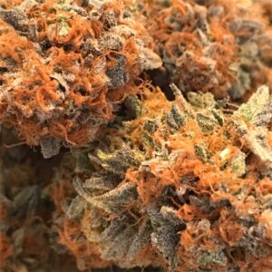 Cannatonic Marijuana Strain