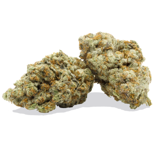 Buy Dolato Kush Online