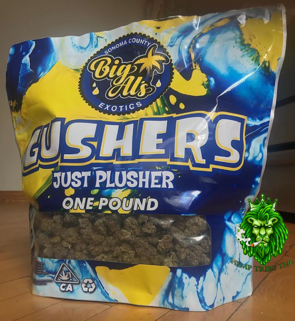 Buy Gushers Online