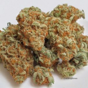 buy quantum kush