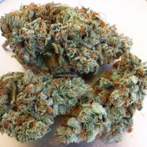 buy silver haze kush