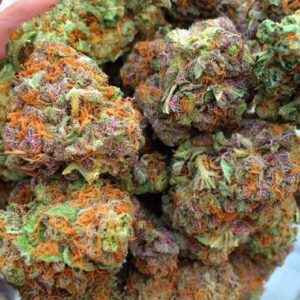 Indica Strains